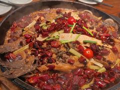 -老板恋上鱼(印象城店)