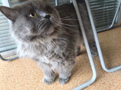 -芭比堂宠物医院·全科爱猫医院·仁德分院