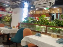 -洞庭家宴·头牌甲鱼(广渠门店)