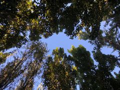 -里面·Noodlology(机电院店)