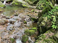 -本溪汤沟绿石谷森林公园