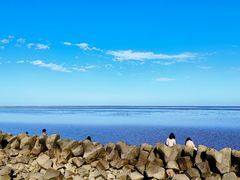 -南汇嘴观海公园