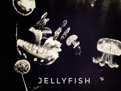 -多彩贵州城极地海洋世界