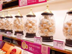 -金品燕庄