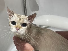 -FAELING PETS美天灵宠物(合生汇店)