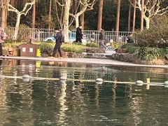 -西湖游船