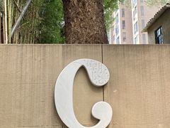 -潮隐·东园现代潮菜