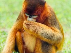 -大连森林动物园