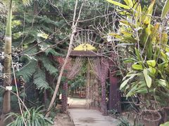 -呀路古热带植物园