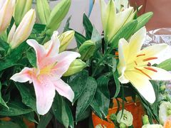 -芭菲盛宴·环球美食(解放碑英利国际店)
