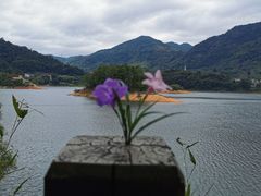 -广州市流溪河国家森林公园