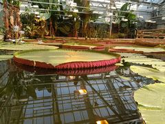 -国家植物园南园