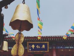 -骏途旅游
