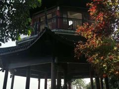 -杭州半山国家森林公园