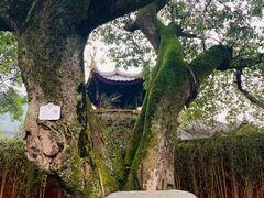 -峨眉山报国寺