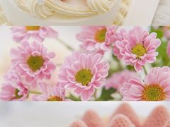 -壹点壹客·生日蛋糕(南山店)
