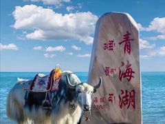 -青海湖国家重点风景名胜区