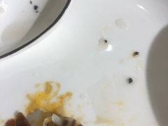 -小海丁