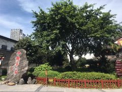 -泸州老窖景区