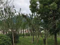 -溪口-滕头旅游景区