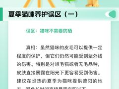 -瑞派申生动物医院·24H夜诊·国际动物医疗中心·骨外科(吴中路店)