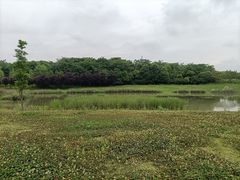 -两河城市森林公园