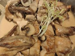 牛肝菌白汁烩鸡-港丽餐厅(高德置地店)