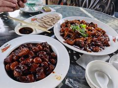 虹鳟-京北渔家傲