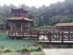 -铁山坪森林公园