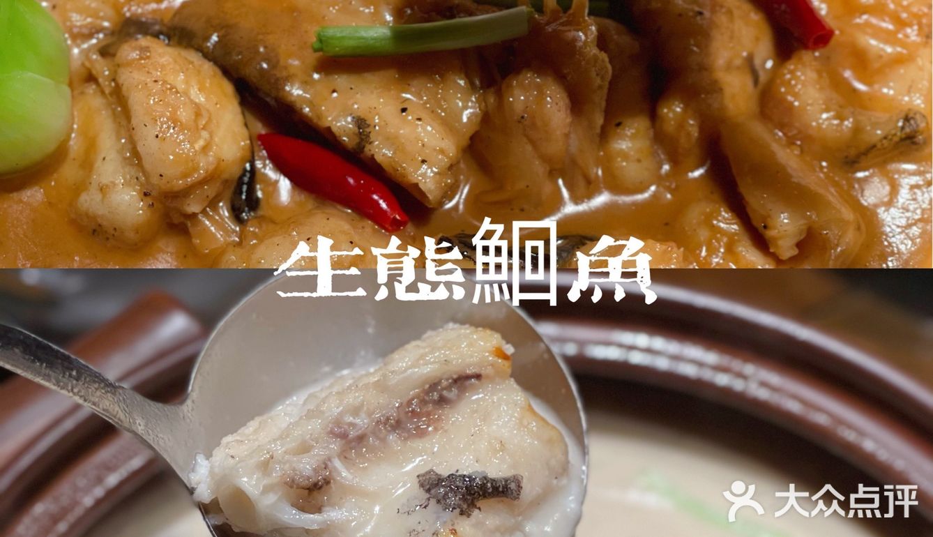 品鱼首选 | 湖北最热门鮰鱼生态餐厅-鮰归