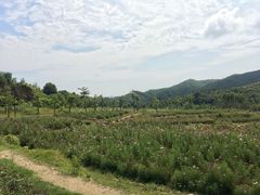 -清远熹乐谷温泉度假酒店
