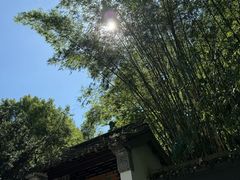 -深圳国际园林花卉博览园