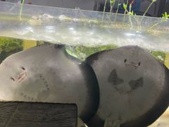 -嘉兴海底世界