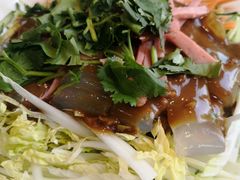 东北拉皮-北纬39度天津宴(黑牛城道店)