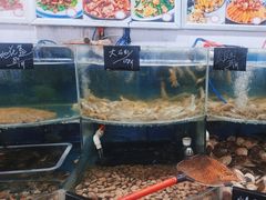 -鑫渔港海鲜本地菜·山海关浑锅(东戴河店)