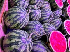 -五里多农博广场