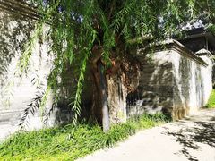 -元大都城垣遗址公园