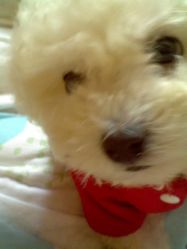 -奥丽维娅美容养生会所