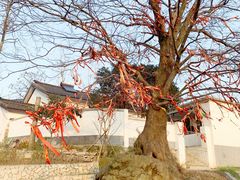 -石塘人家