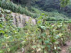 -北京山里寒舍度假酒店