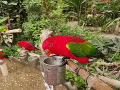 -南宫五洲植物乐园