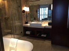 环球恐龙城维景国际大酒店-常州环球恐龙城维景国际大酒店