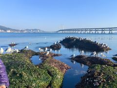 -黑石礁公园