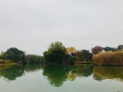 -烟水渔庄餐厅(西溪湿地店)