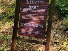 -东天目山风景区