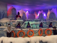 -帝企鹅自助餐厅•儿童岛•真企鹅(长隆企鹅酒店)