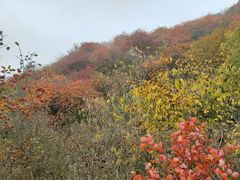 -北京西山国家森林公园