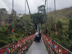 -西双版纳原始森林公园