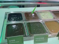 -Salud撒露欧洲冻酸奶(五道口购物中心店)