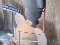 -了不起的考拉咖啡店(高新店)